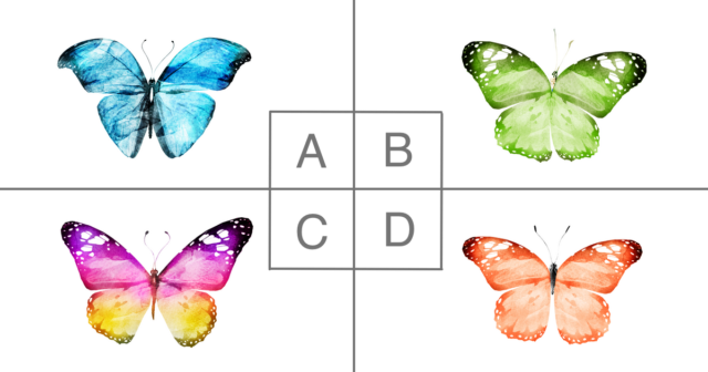 【心理テスト】「幸せの蝶」を選んで人生のヒントがわかる！