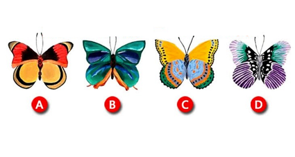【心理テスト】一番好きな蝶はどれ？生まれながらの「使命」がわかる！