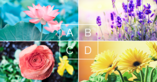 【心理テスト】あなたの「他の人から見た印象」がわかる！一番好きな花はどれ？