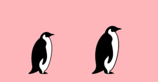 【心理テスト】あなたの「惚れっぽさ」が明らかに…。 「２匹のペンギンの関係は？」