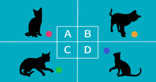 【心理テスト】ツンデレ度を診断！「どの猫を連れて帰る？」
