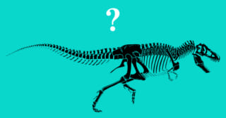【心理テスト】あなたのオタク度がわかる！「恐竜はナゼ逃げ出した？」
