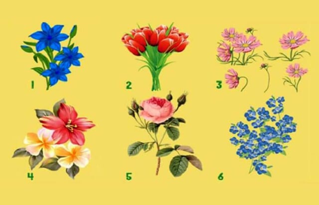 【心理テスト】どの花が好き？　近い未来あなたに起こる幸運が分かる！