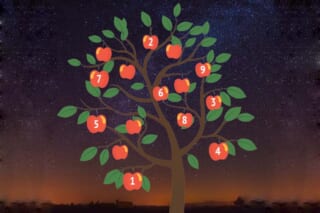 【心理テスト】りんごを1つ選んでください。「夢」の進展がわかる！