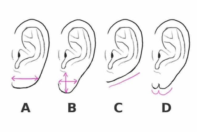 【心理テスト】耳たぶの形で分かる、あなたの恋愛傾向！　耳たぶが大きな人はモテモテ!?